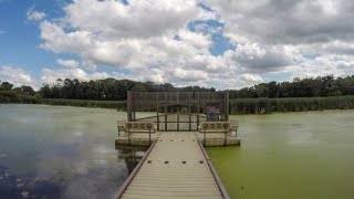 Lincoln Marsh