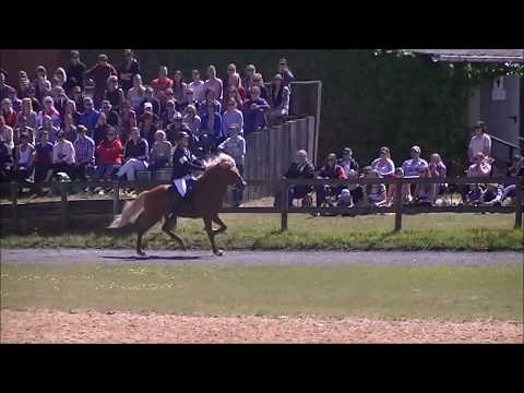 Kronshof Special 2018: Fünfgangpreis S1.F1 A-Finale