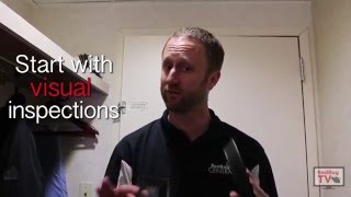 Solving Bed Bugs Within Buildings