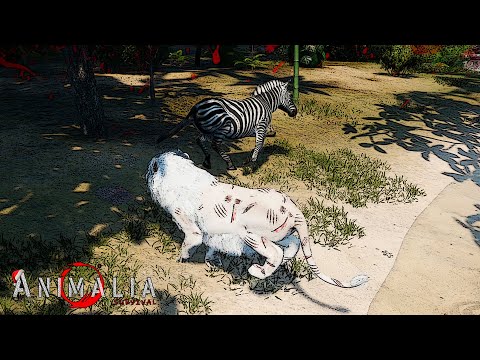 Elder Lion's Last Hunt - Animalia Survival