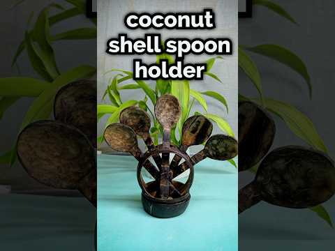 Coconut Shell Pieces