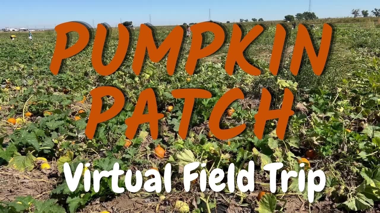 Where Do Pumpkins Come From? | Pumpkin Patch Virtual Field Trip
