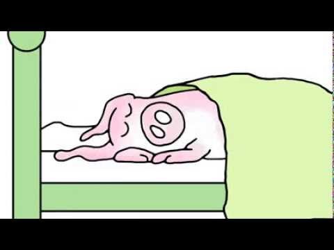 When Pigs Fly video