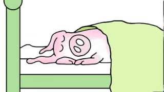 Sandra Boynton's WHEN PIGS FLY sung by Ryan Adams (animation - Official Music Video)