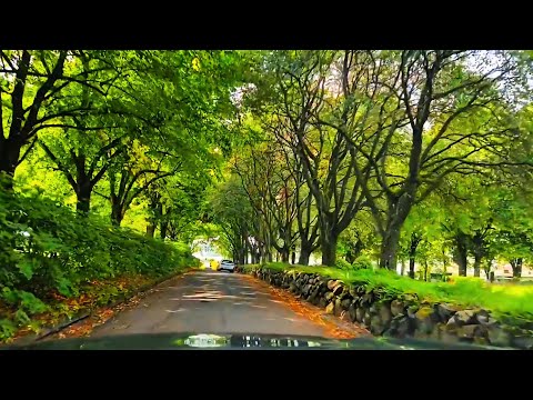 فيروزيات الصباح _ فيروز _  جولة في أحياء النرويج 4k