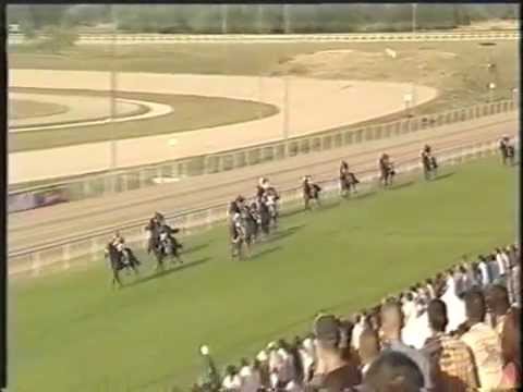 92. Magyar Derby Gd-3 (HUN) 2400m