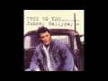 Johnny Hallyday - True To You (Officiel Audio)