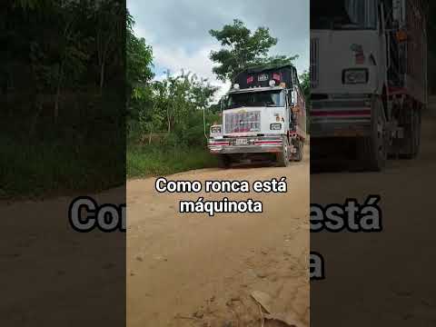 vía valencia córdoba san pedro de urabá