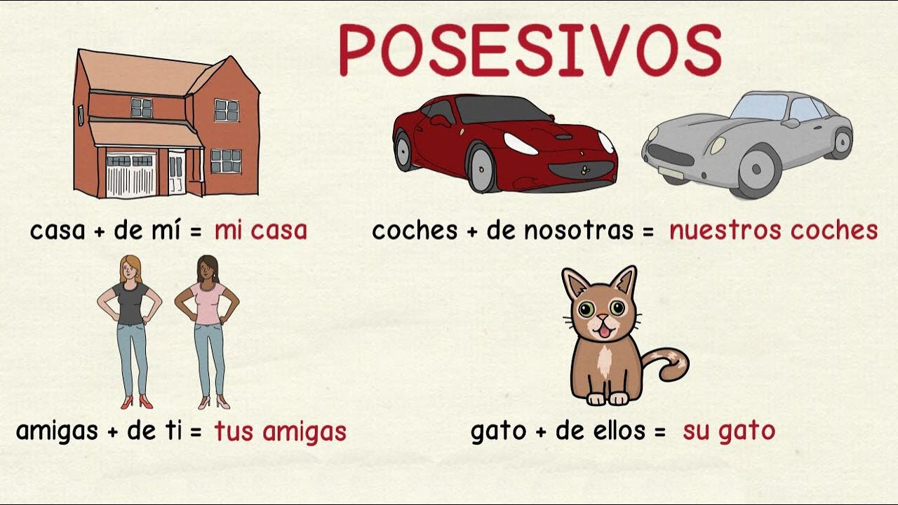 Learning Spanish: Forms of the unstressed possessive (basic level)