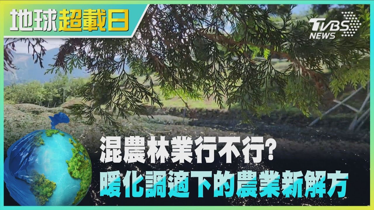 混農林業行不行? 暖化調適下的農業新解方