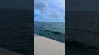 En Miami pensando unas cosas 🤍🤭 #usa