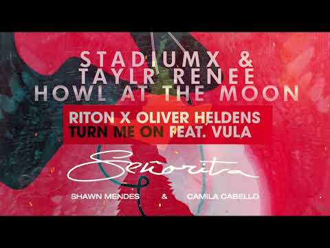 Señorita vs. Howl At The Moon vs. Turn Me On (Alex Ander Mashup)