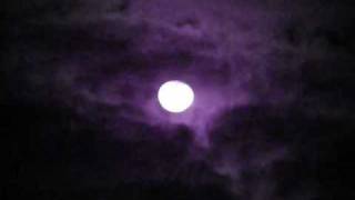 Saliva: Bleed for me ( lyrics)