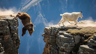 [問卦] 感覺只會跌台積電和ai股