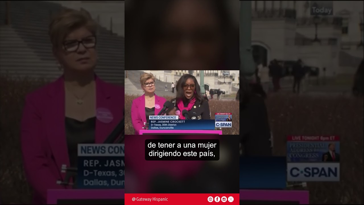 Feminist pamphlet by Representative Crockett