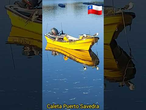 Puerto Savedra, Chile #shotrs #chile