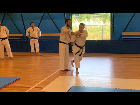 Funakoshi's throws (nage waza)