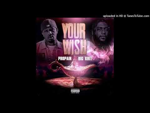 Propain ft Big K.R.I.T...Your Wish (DJ Shawne Blend God Remix)