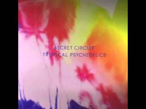 Secret Circuit - Knocking on Wood