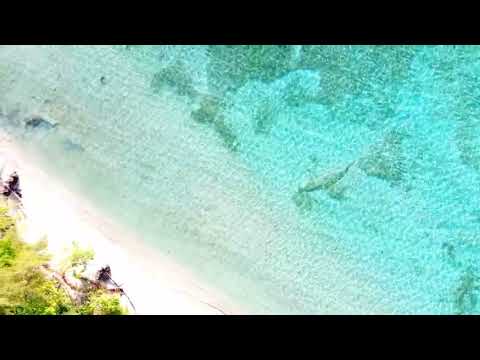 Beautiful Robin Island, Wewak