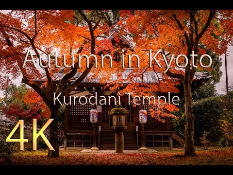 download lagu mp3 mp4 Kurodani, download lagu Kurodani gratis, unduh video klip Kurodani