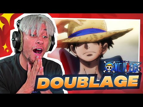 DES ABONNÉS M'ONT MIS DANS ONE PIECE MDRRR (Shyro Meme #1)