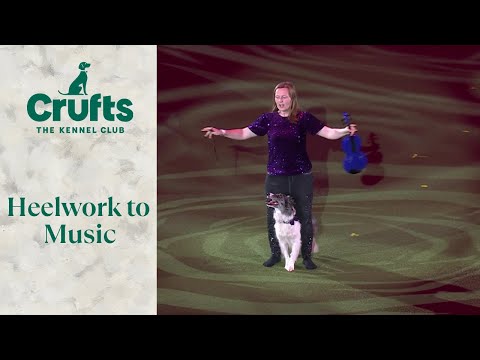 Heelwork To Music Competition Winner | Crufts 2024
