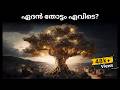 ഏദെൻ തോട്ടം എവിടെ Where Is Eden Garden Bible Insight BB