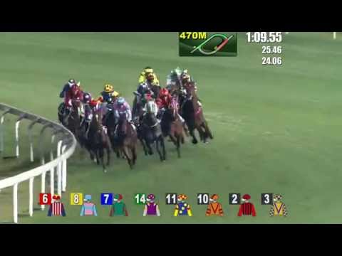 RACE WITHOUT GAIT, PAKISTAN STAR KO !!