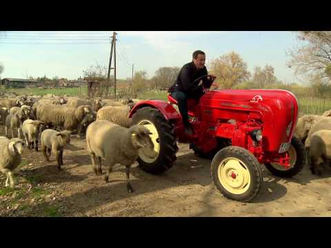 Autostadt // ZeitHaus-Meilenstein Porsche-Diesel Junior