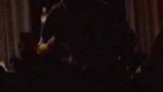 Atreyu &quot;Tulips Are Better&quot; live