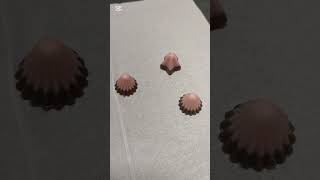 アポロでレアな星型アポロがでて喜ぶモモちゃん