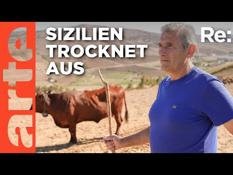 Video Thumbnail: Sizilien im Dürre-Stress | ARTE Re: