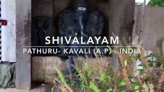 SHIVALAYAM KAVALI A P Temple