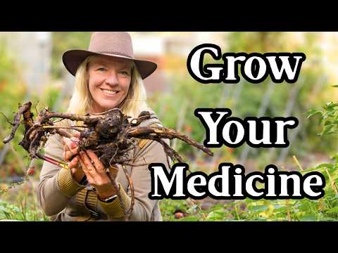 9 Must-Have Medicinal Root Herbs Every Homestead Needs