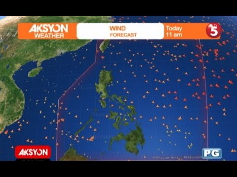 Kumain sila sa umaga upang mawalan ng timbang Fiber flax seed pagkain