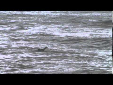 concurso cabo de santo agostinho salva vidas ( completo)