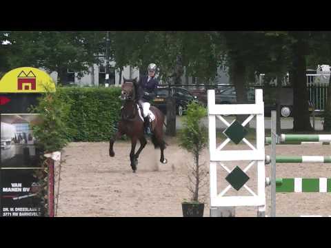 Bovenheigraaf's Camillo 1.10