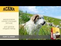 Видео о товаре ACANA Heritage PUPPY and JUNIOR, корм для щенков и юниоров / Champion Petfoods (Канада)