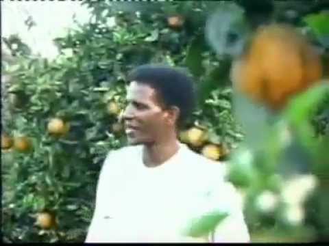 -KORIRE- ERITREAN TRADITIONAL SONG AMUNUEL MOMONA.