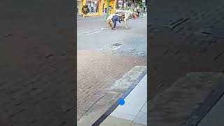 Watch till the end #funnyvideos #funny #foryou #funnyanimals #funnypetsclub #funnycreatures