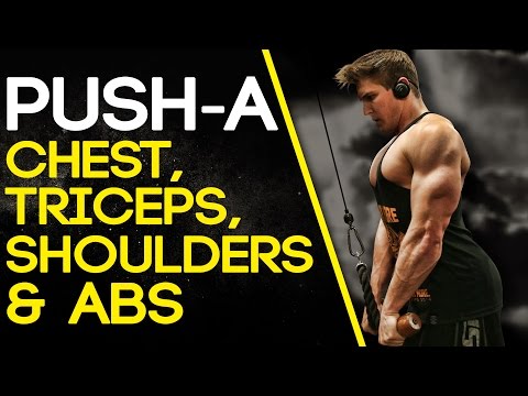 Muscular Strenght Title