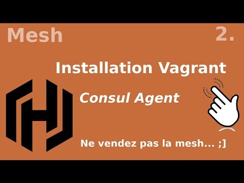 MESH 2 Installation des agents consul