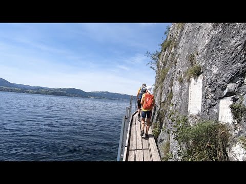 Miesweg am Traunsee
