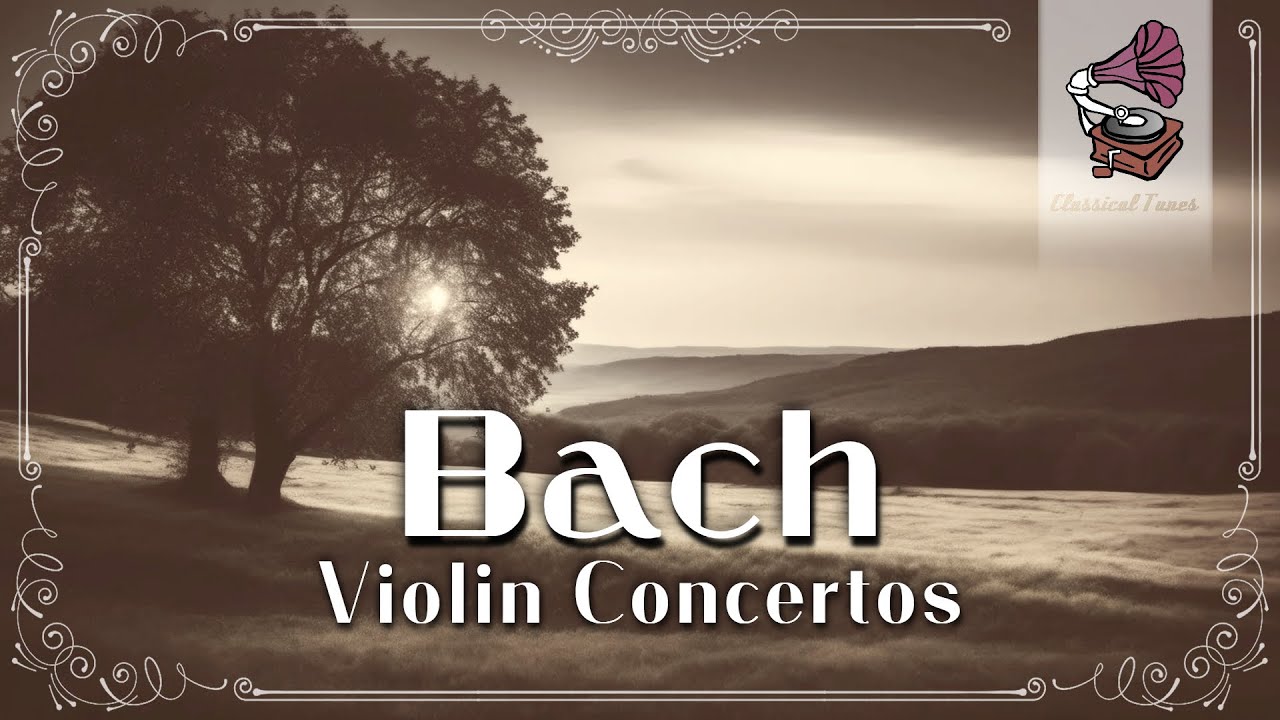 Johann Sebastian Bach | The Violin Concertos | 2 Hours Baroque Music Amazing NONSTOP Mix