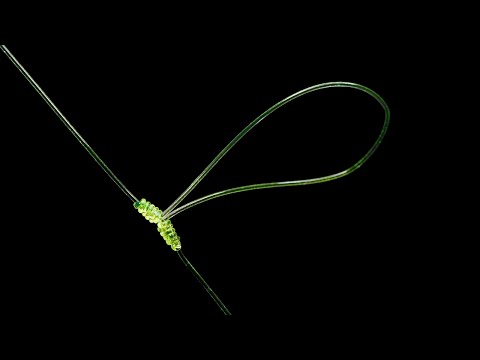 An ARTISAN FISHERMAN shows me this KNOT that he uses in his FISHING TACKLE - loop knot