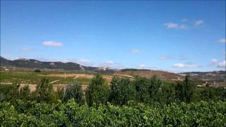 preview picture of video 'Camino de Santiago Vasco del Interior Etapa Briñas Stº Domingo de la Calzada'