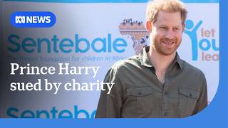 Sentebale charity sues Prince Harry for defamation over HIV work in Africa