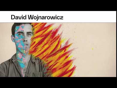 Vidéo de David Wojnarowicz