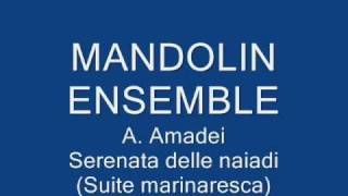 MANDOLIN ENSEMBLE- A. Amadei-serenata delle naiadi (Suite marinaresca)